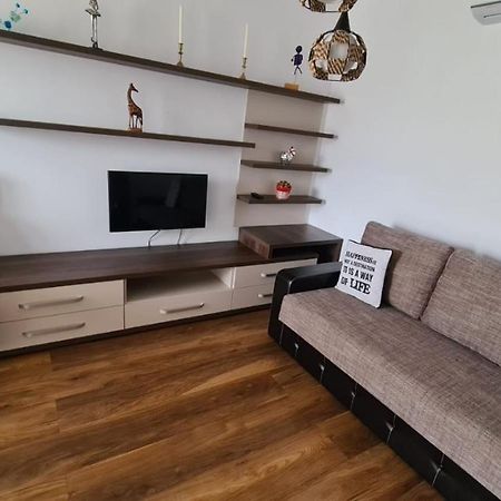 Apartament Mirubias Brasov Exterior photo